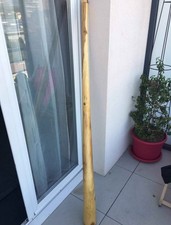 Didgeridoo