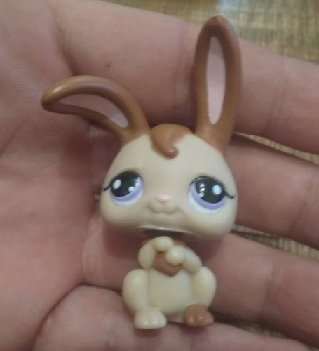 Littlest petshop hasbro - ,