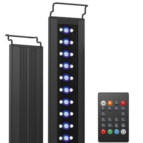 C10 éclairage led - c10,