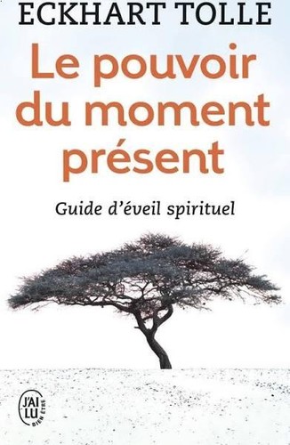 Livre pouvoir moment - le, du