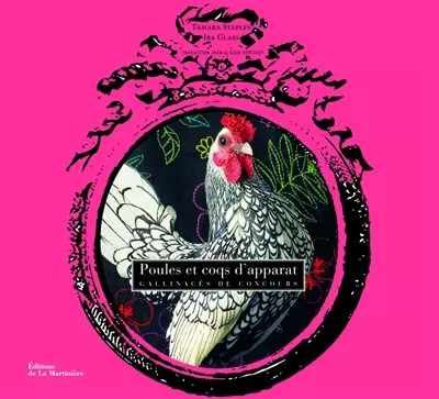 Poules coqs apparat - poules, et