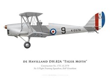 Print DH.82 Tiger Moth, No 3