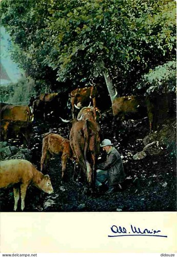 Carte postale animaux - postale,