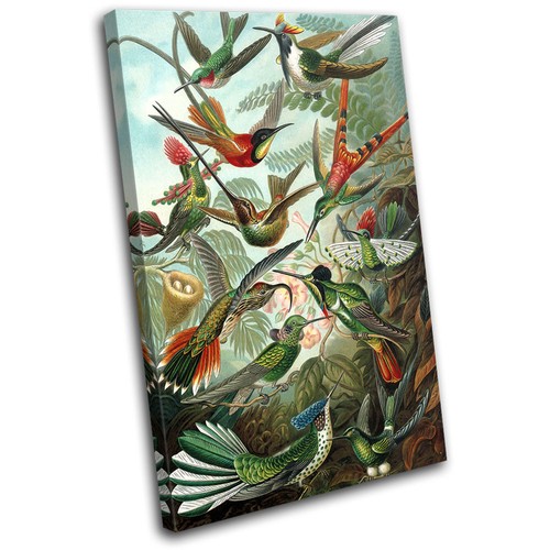 Birds floral tropical vintage - birds,
