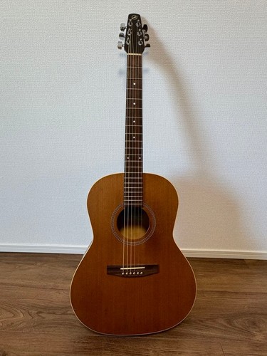 Guitare acoustique folklorique