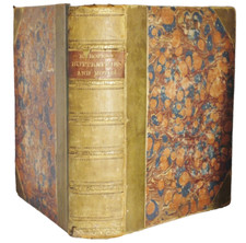 * Rare * European Butterflies