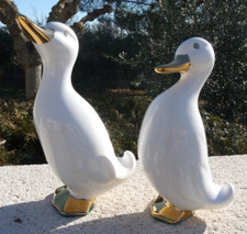 Canards blancs porcelaine - blancs,