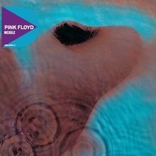 Meddle (Discovery Edition)  de