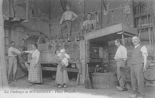Cpa les vendanges en - cpa,