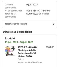 trotinette électrique adulte Tout Terrains