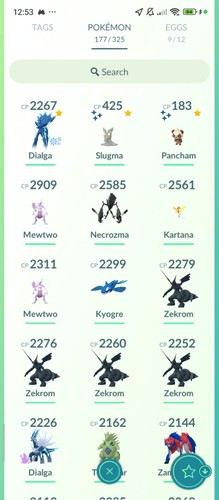 Dialga road legend - road, of