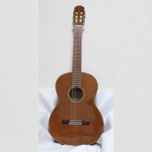 Guitare classique takamine - classique,