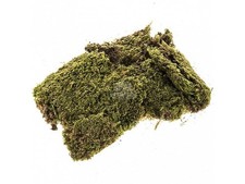 Mousse Naturelle À Tapis Pour