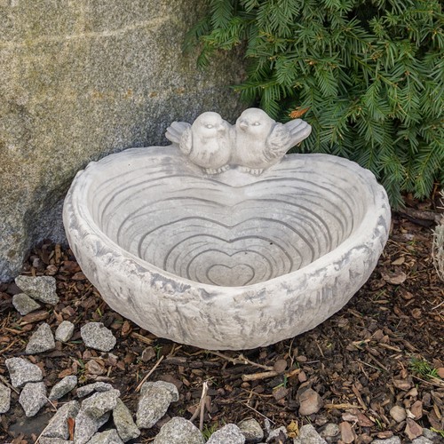 Coupe boire coeur oiseaux - coupe,