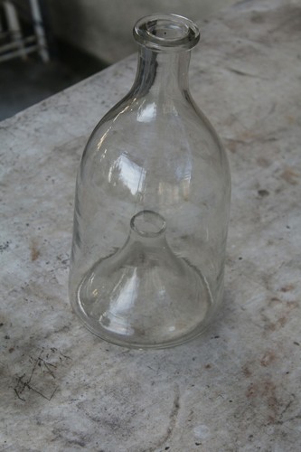 Pêche bouteille vairons - pêche,bouteille, à