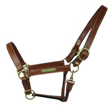 EQuest Étui en Cuir Inscribe