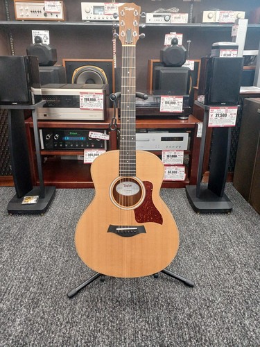 Guitare acoustique électrique