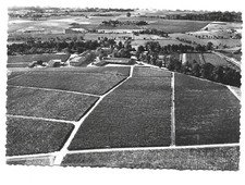 33  PAUILLAC  CHATEAU LAFITE ROTSCHILD