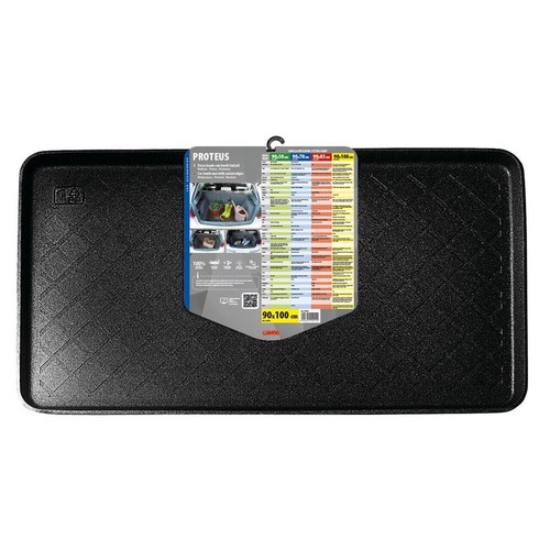 Proteus protection coffre - protection,