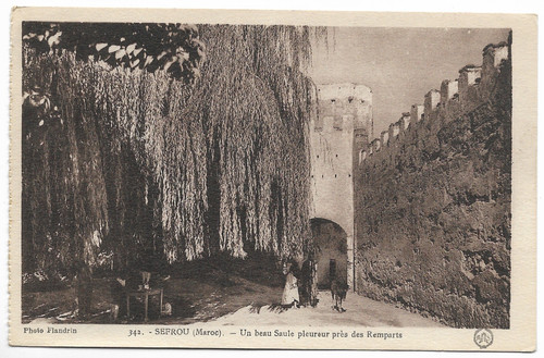 Cpa sefrou un - sefrou,