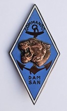 Insigne du commando DAM SAN -