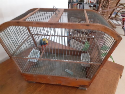 Ancienne cage oiseaux - ancienne,