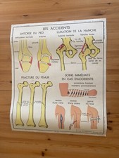 Affiche vintage 1950