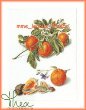 Kit thea gouverneur fruit - gouverneur,