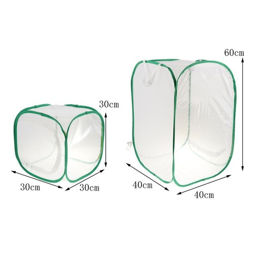 élevage papillons cage - de, en
