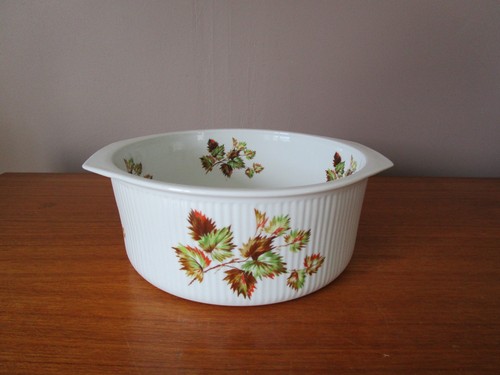 Plat gratin porcelaine feu - plat,