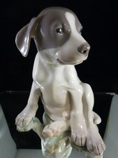 ROYAL COPENHAGEN POINTER PUPPY