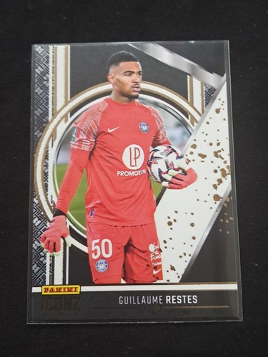 Carte panini iconz 2024 - carte,