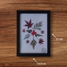 Création herbier, fleurs