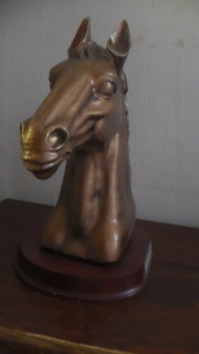 Buste tête cheval - buste, de