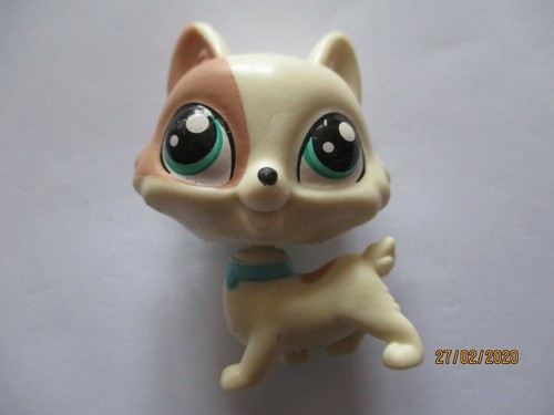 Petshop chien corgi - chien,