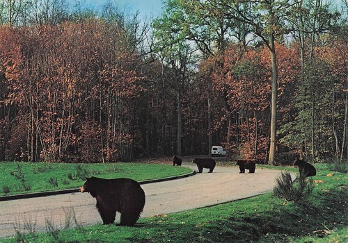 Peaugres safari parc haut - parc, du