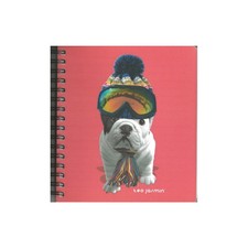 Téo Jasmin - Carnet à