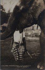 Zoo humain,Village Hindou, cornac et l'éléphant, Paris, 1926 Carte postale 
