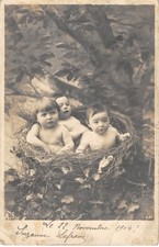 CPA FANTAISIE / REPRESENTANT DES BEBES / DANS UN NID D'OISEAU
