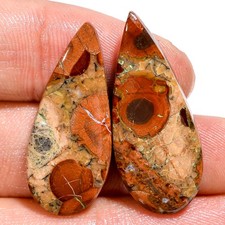 25.05 CT Naturel Cacahuète