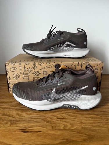 Nike pegasus trail gtx femme - trail,