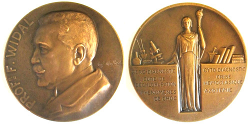 Médaille bronze professeur - médaille, en