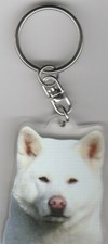AKITA INU CHIEN PORTE CLES /