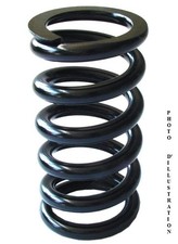 Ressort d'Amortisseur Avant Adaptable 7700417230 pour Renault Clio II