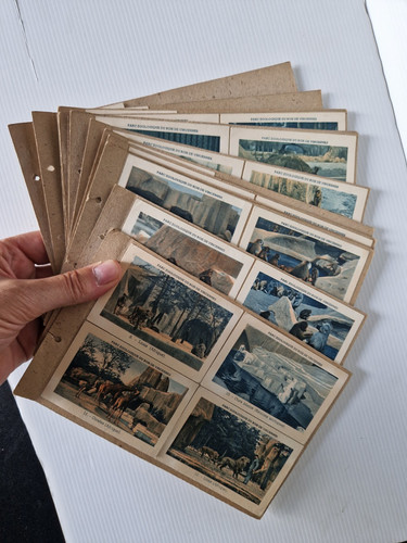 Carnet images 1930 parc - carnet,