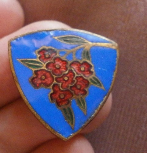 Insigne laiton émaillé augis - laiton,