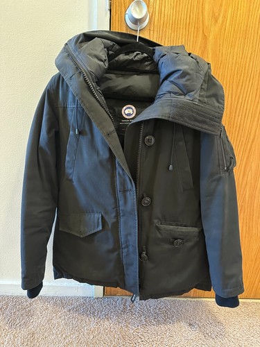 Canada goose montebello - goose,