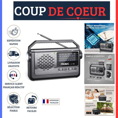 Prunus radio portable am - prunus,
