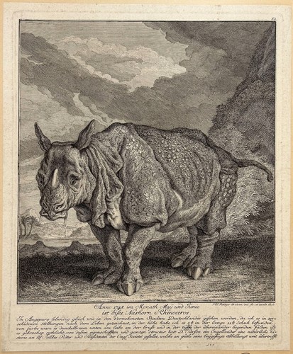 Johann elias ridinger - elias, le