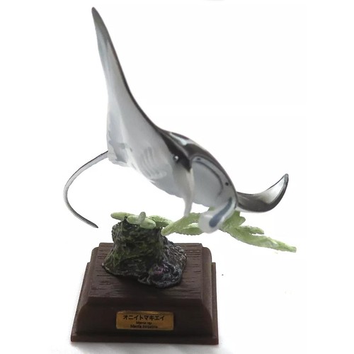Manta ray nature technicolor - ray,